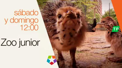 Zoo Junior, los fines de semana en Telemadrid