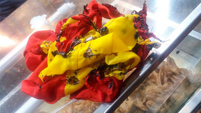 Queman la bandera de España de la caseta de Ciudadanos