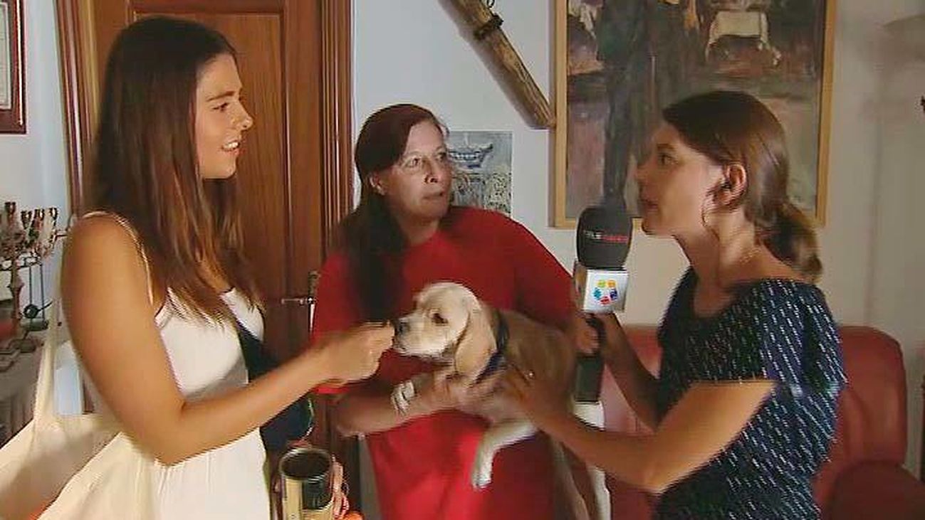 Canguros para animales durante las vacaciones