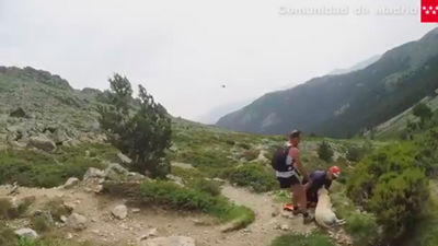 Recuperan a un perro deshidratado en Navacerrada