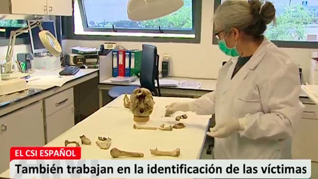 El trabajo del CSI español