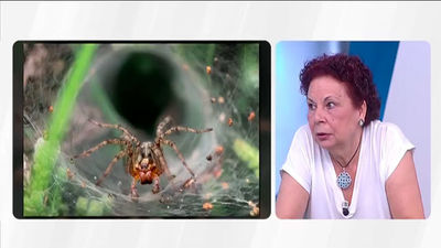 Consejos para afrontar las fobias