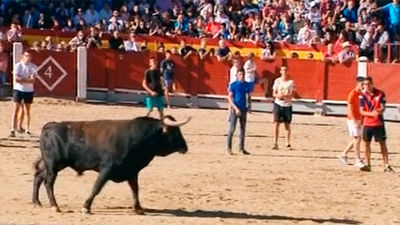 Vivimos desde dentro los encierros de Chinchón