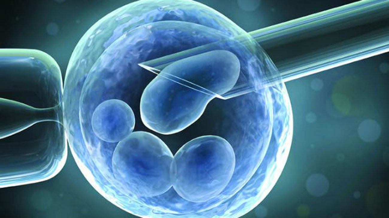Investigadores de EEUU logran modificar genéticamente embriones humanos