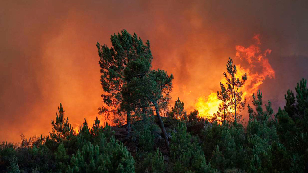Arden unas 220 hectáreas en dos incendios en Monterrei (Orense)