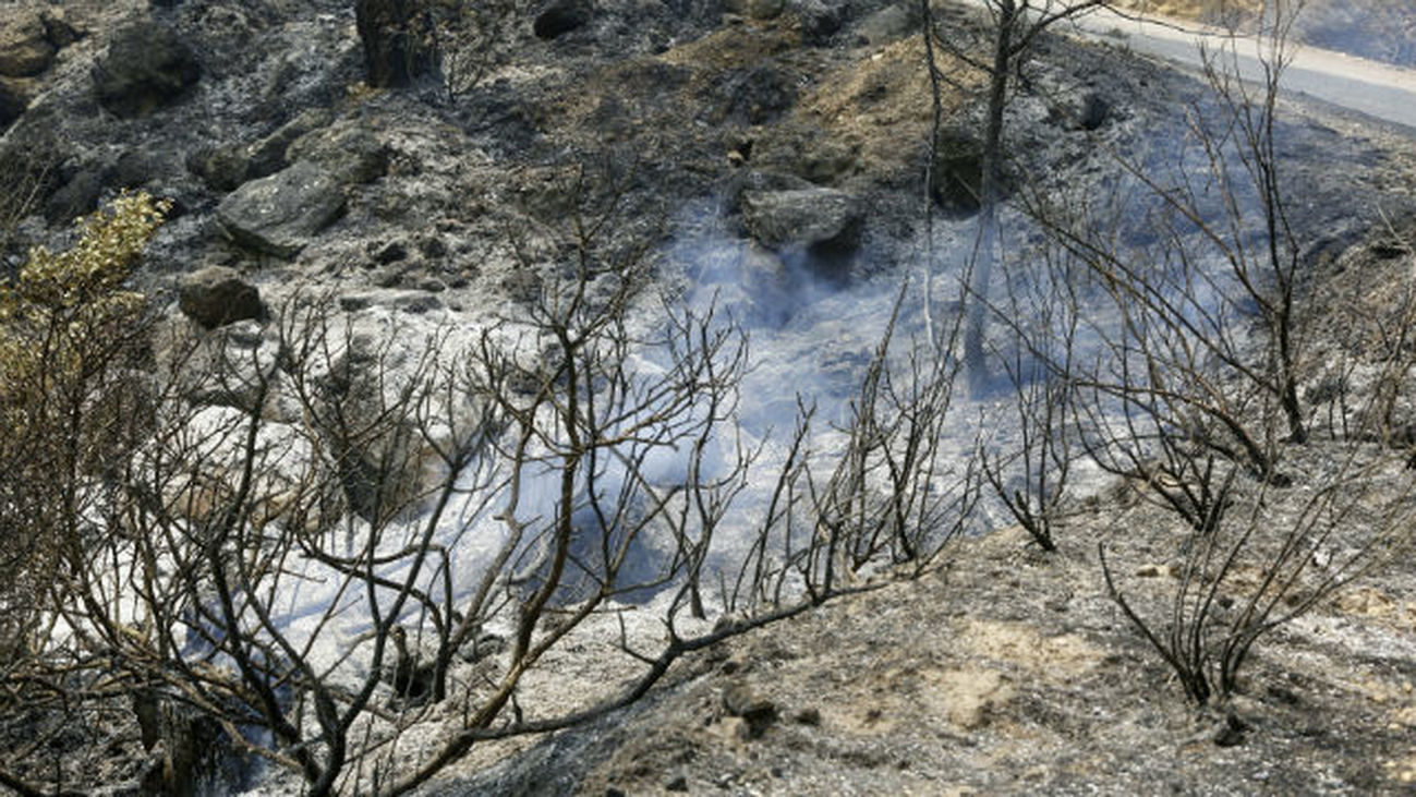 Sigue sin control el incendio de Yeste, que se complica por la meteorología