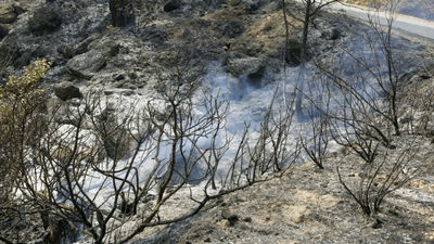 Sigue sin control el incendio de Yeste, que se complica por la meteorología
