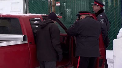 Informe Criminal: Asesinos al azar