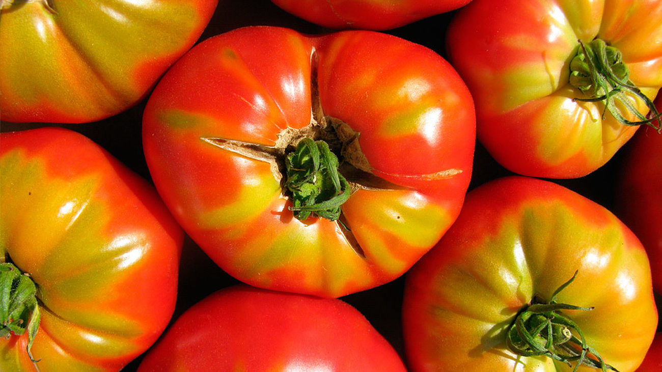 Paracuellos busca su tomate más grande
