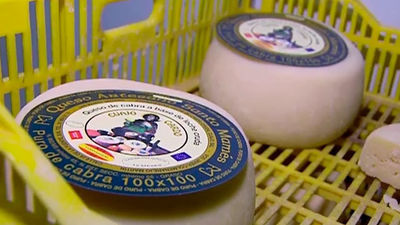 El mejor queso cremoso de Madrid