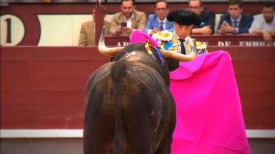 Toros desde Ciudad Real, el sábado 19