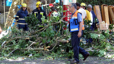 Trece muertos y 50 heridos tras caer un árbol durante una procesión en Madeira
