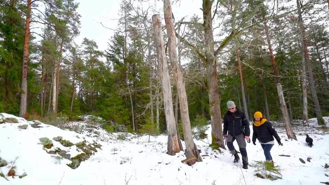 Madrid de Sol a Sol: Madrid, Östergötland, Suecia