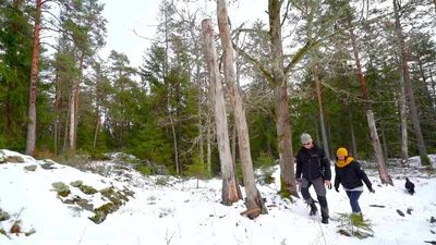 Madrid de Sol a Sol: Madrid, Östergötland, Suecia