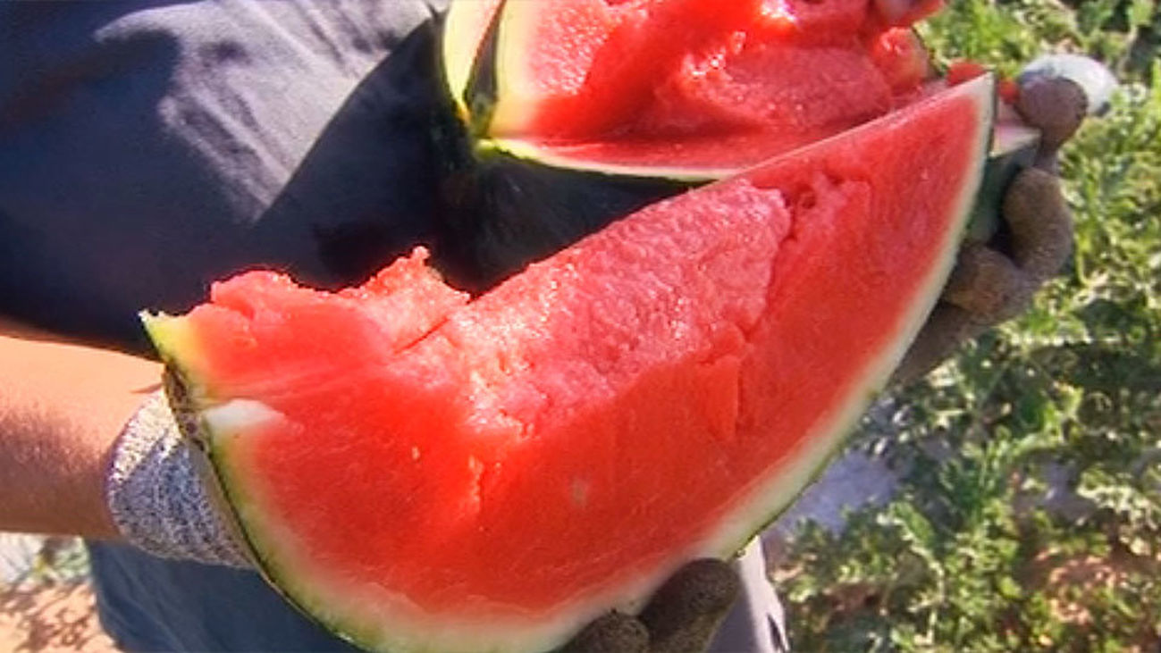Frutas veraniegas a precio de lujo: La sandía y el melón están tres veces más caras que el año pasado