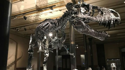 El asteroide que aniquiló a los dinosaurios podría haber llevado a la Tierra a dos años de oscuridad