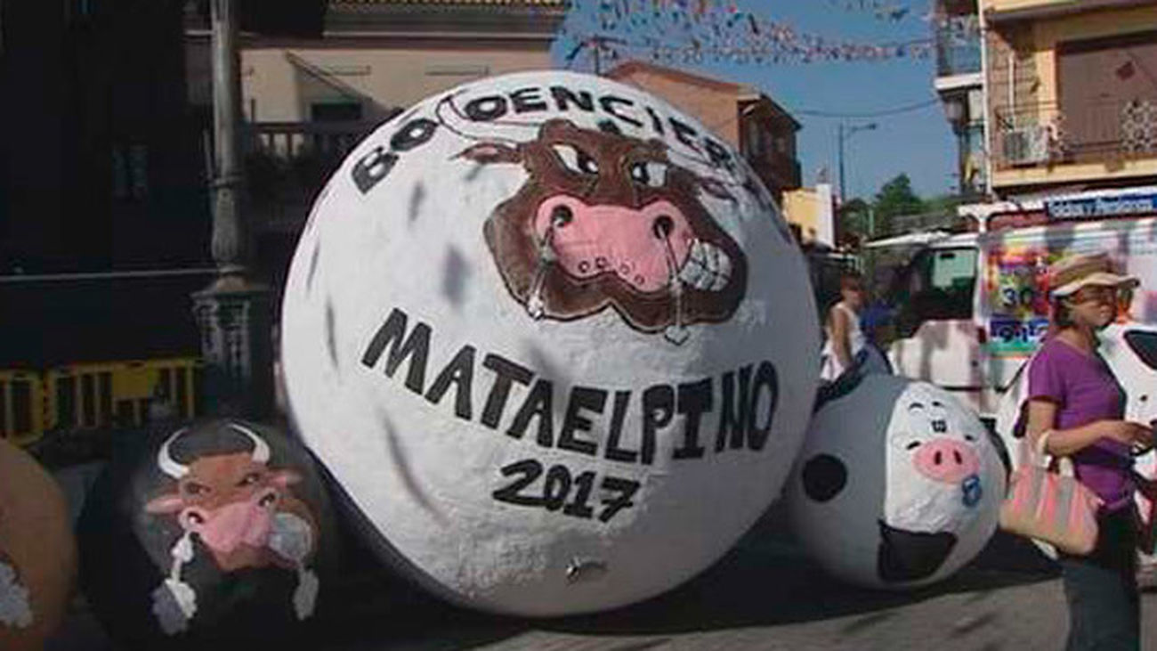 Mataelpino aumentará la seguridad del boloencierro tras los accidentes de este año
