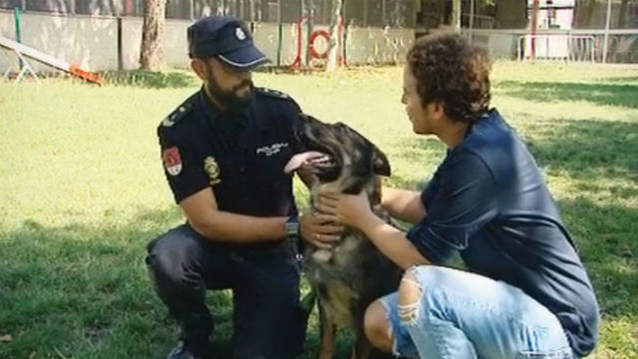 La perra policía Laika se jubila