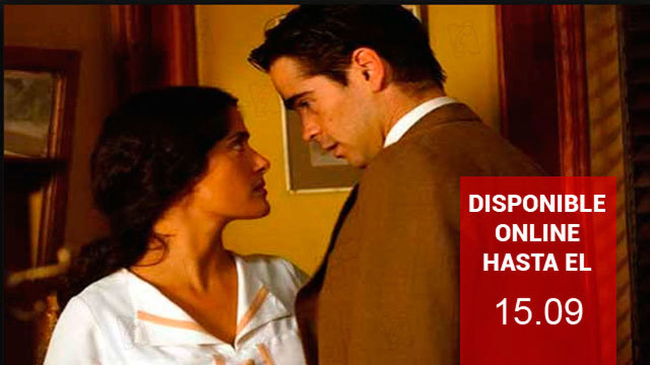 Pregúntale al viento