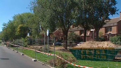 Vecinos de Las Rozas no quieren que quiten árboles para asfaltar un bulevar