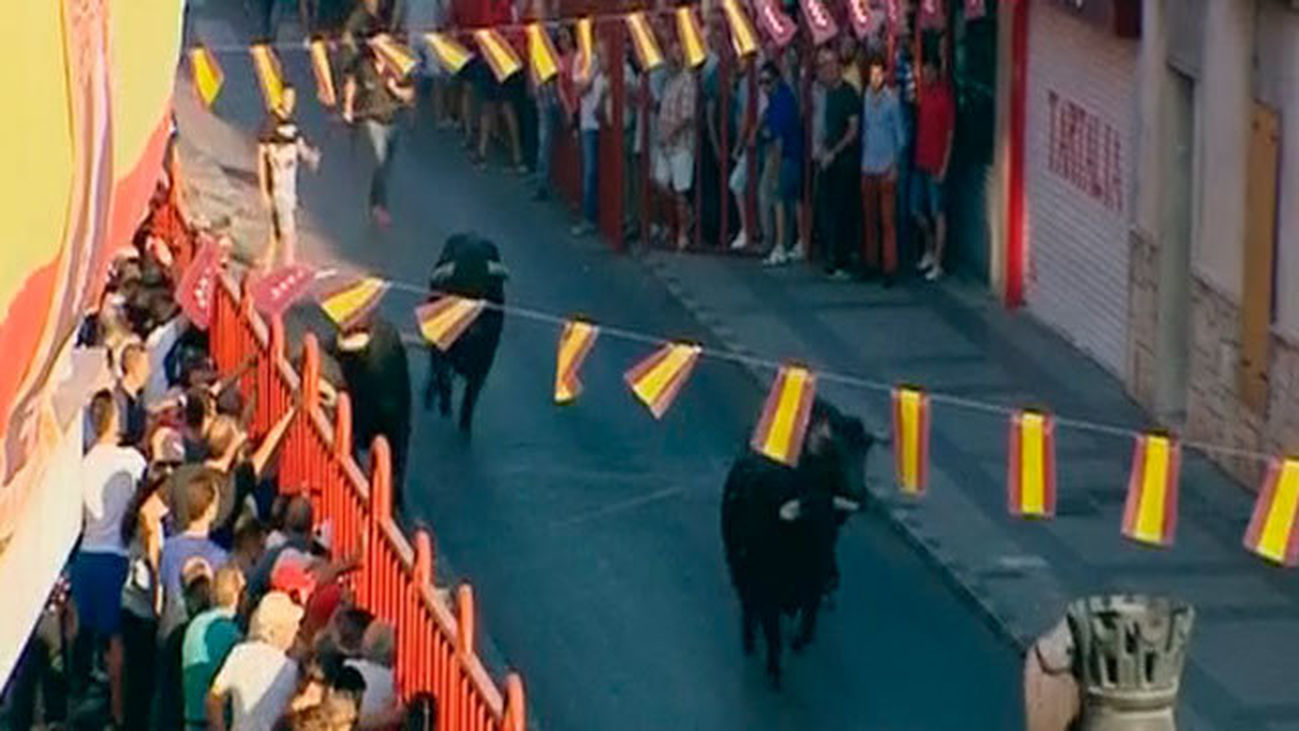 Una mañana taurina en Arganda del Rey