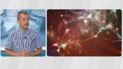 Nuevos avances para curar el Alzheimer