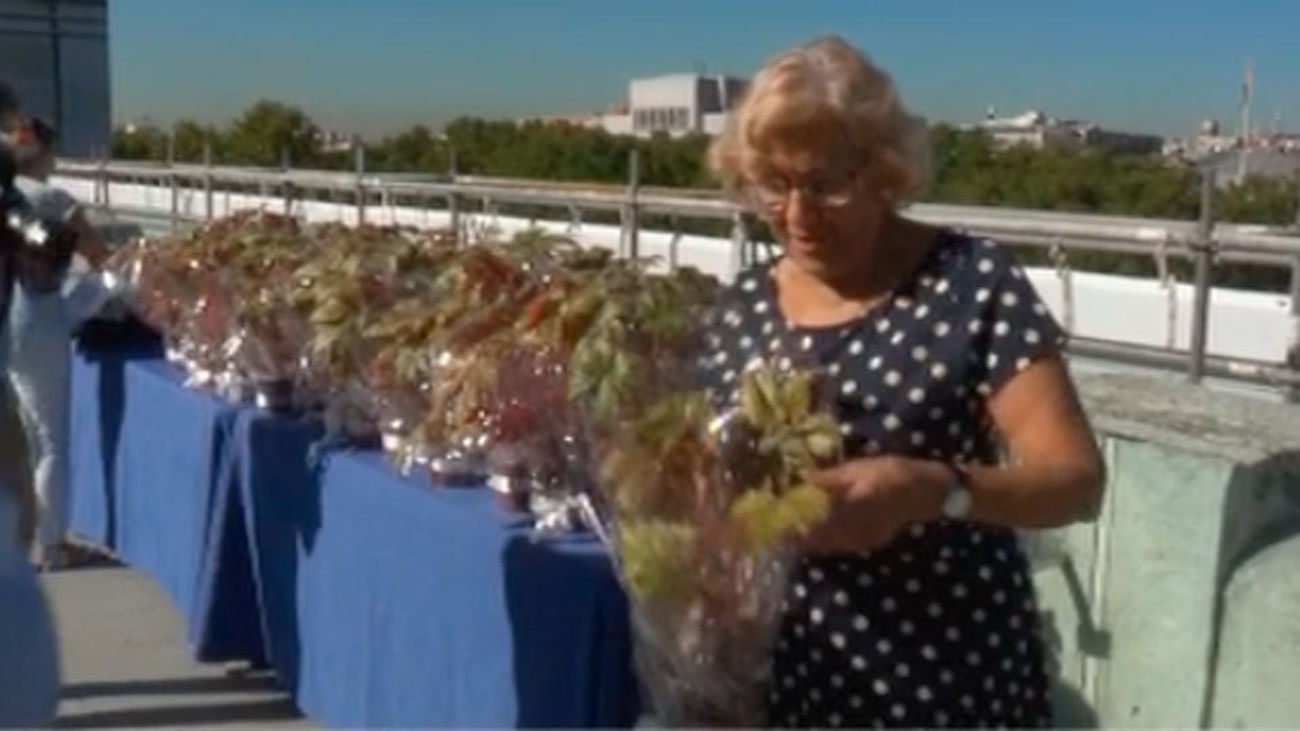 Carmena convertirá en jardines las terrazas de 21 edificios municipales