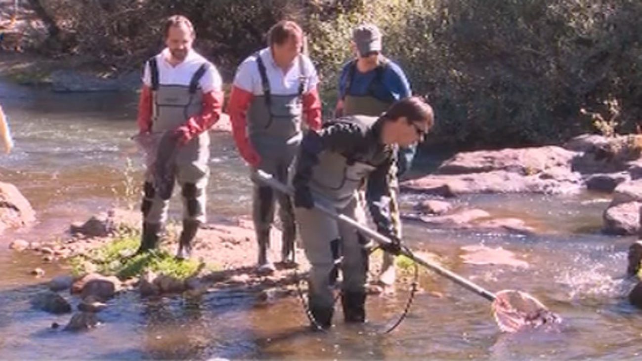 Técnicos de la Comunidad de Madrid completan el inventario piscícola de la región