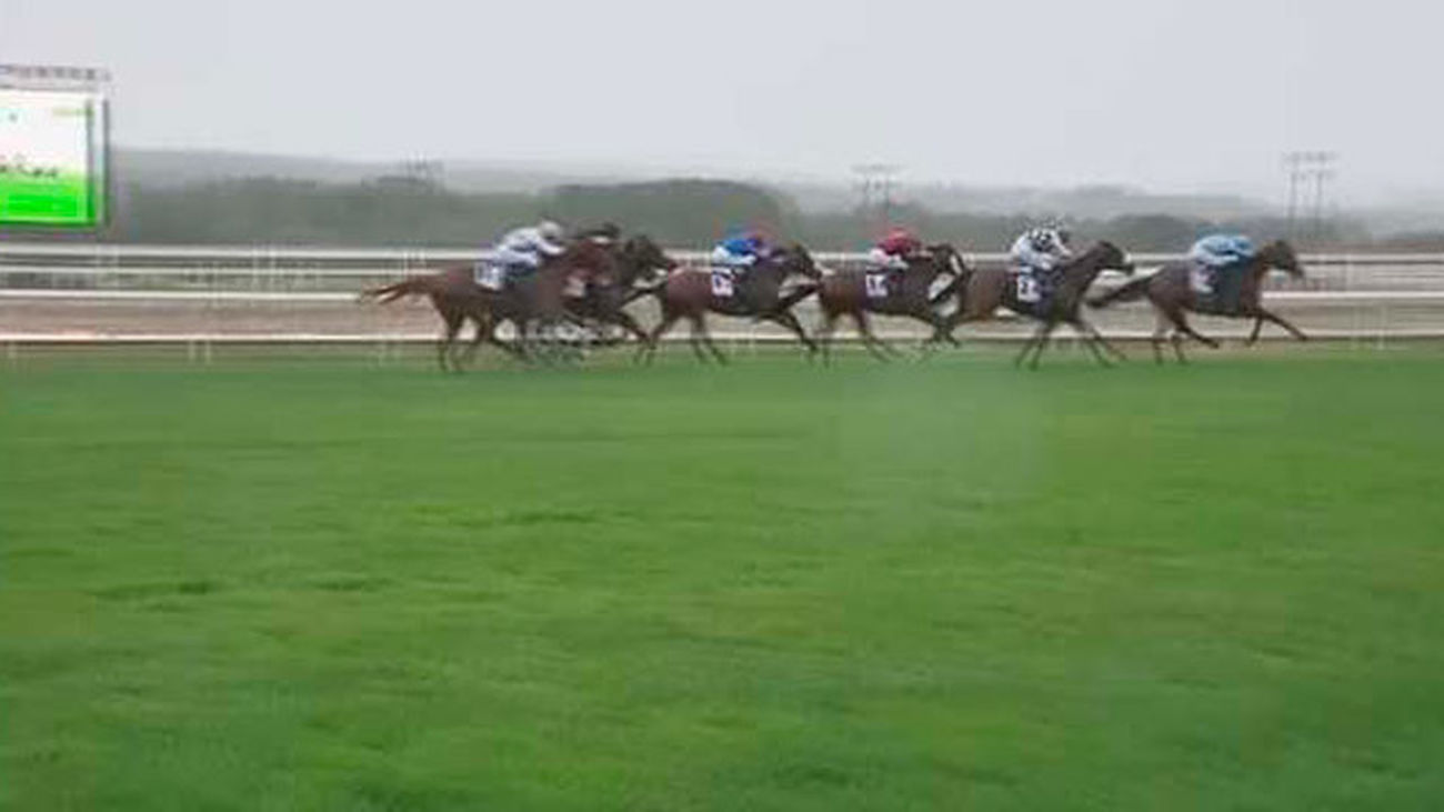 Hipódromo de la Zarzuela