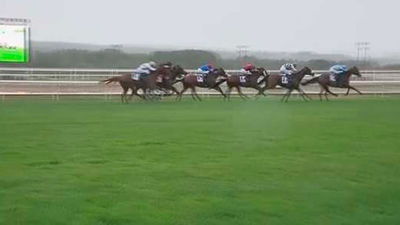 El Hipódromo arranca su temporada de otoño con un total de 82 carreras