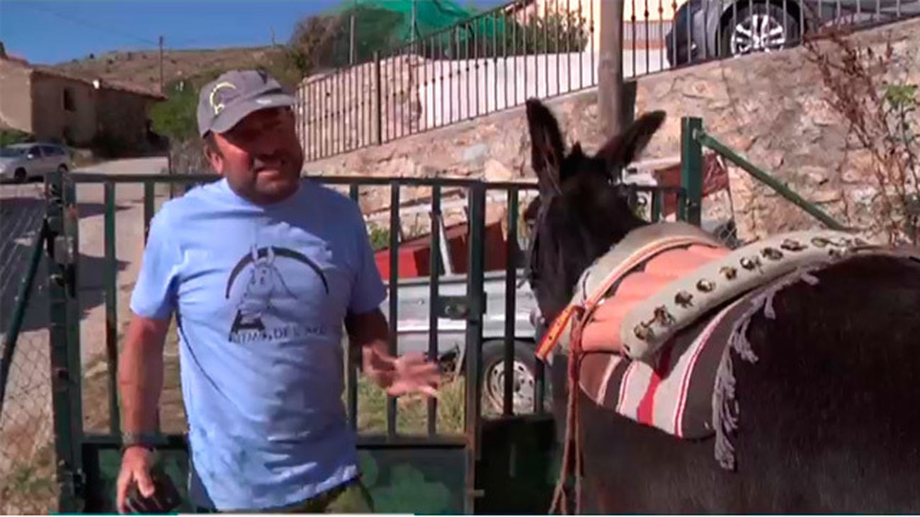 Rutas en burro en la Sierra madrileña
