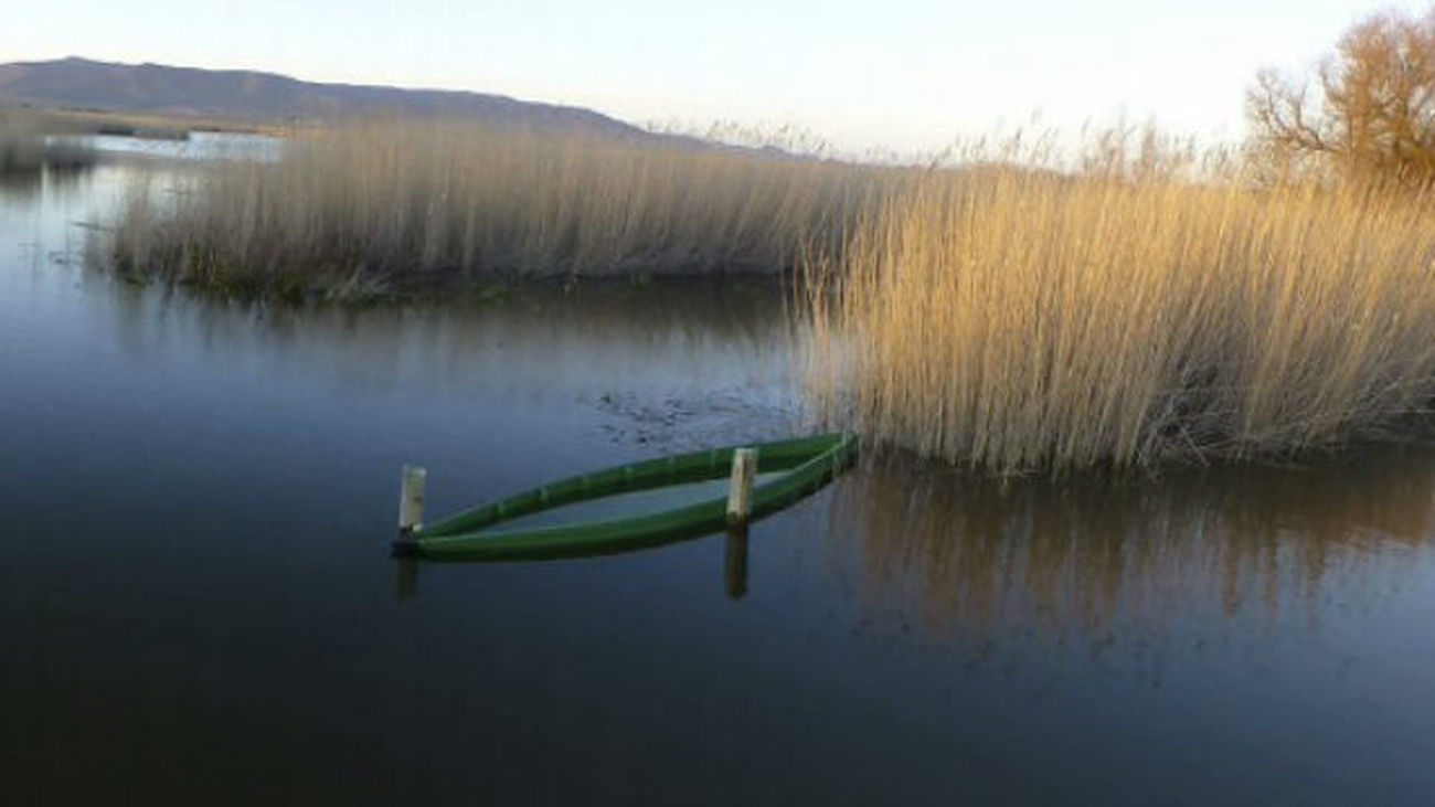 Vivir junto a ríos, lagos o mares beneficia la salud mental, según un estudio