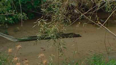 Quince años de vertidos de aguas fecales al Arroyo de la Vega