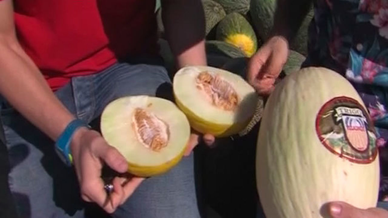 Los mejores melones de la Comunidad de Madrid