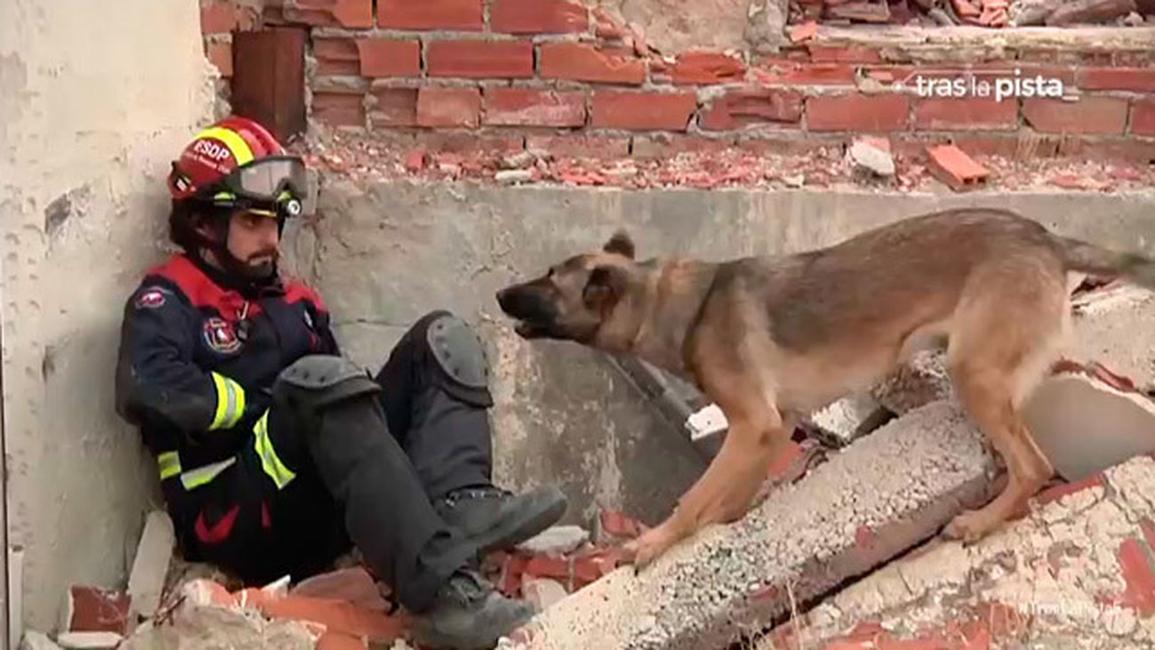 ¿Cómo se rescata a las víctimas que se quedan bajo los escombros?