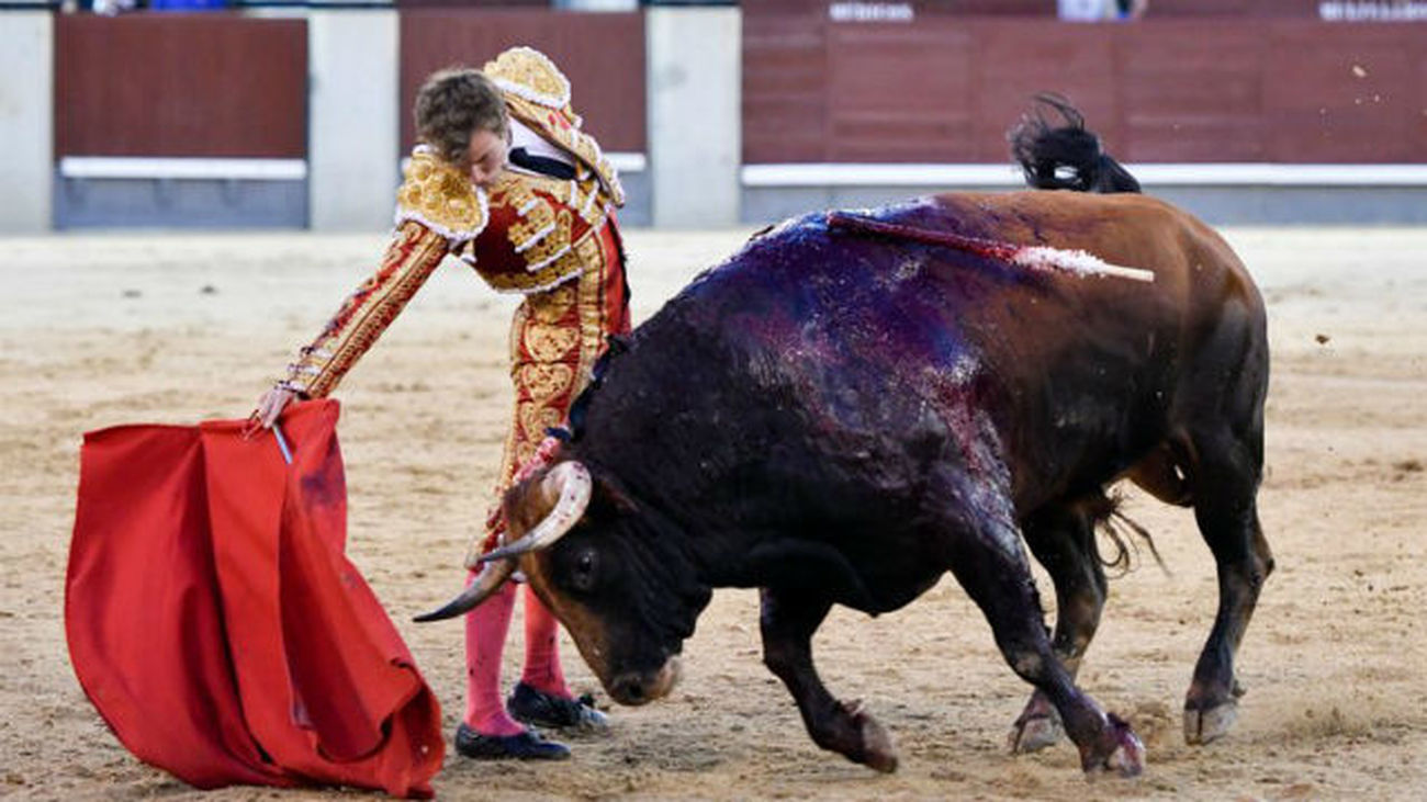 El diestro valenciano Román