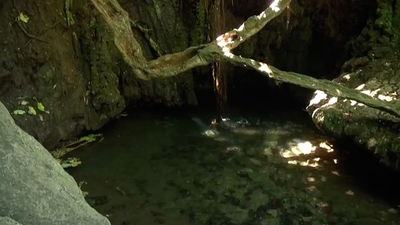 Los baños de Afrodita y cómo conservar la belleza eterna