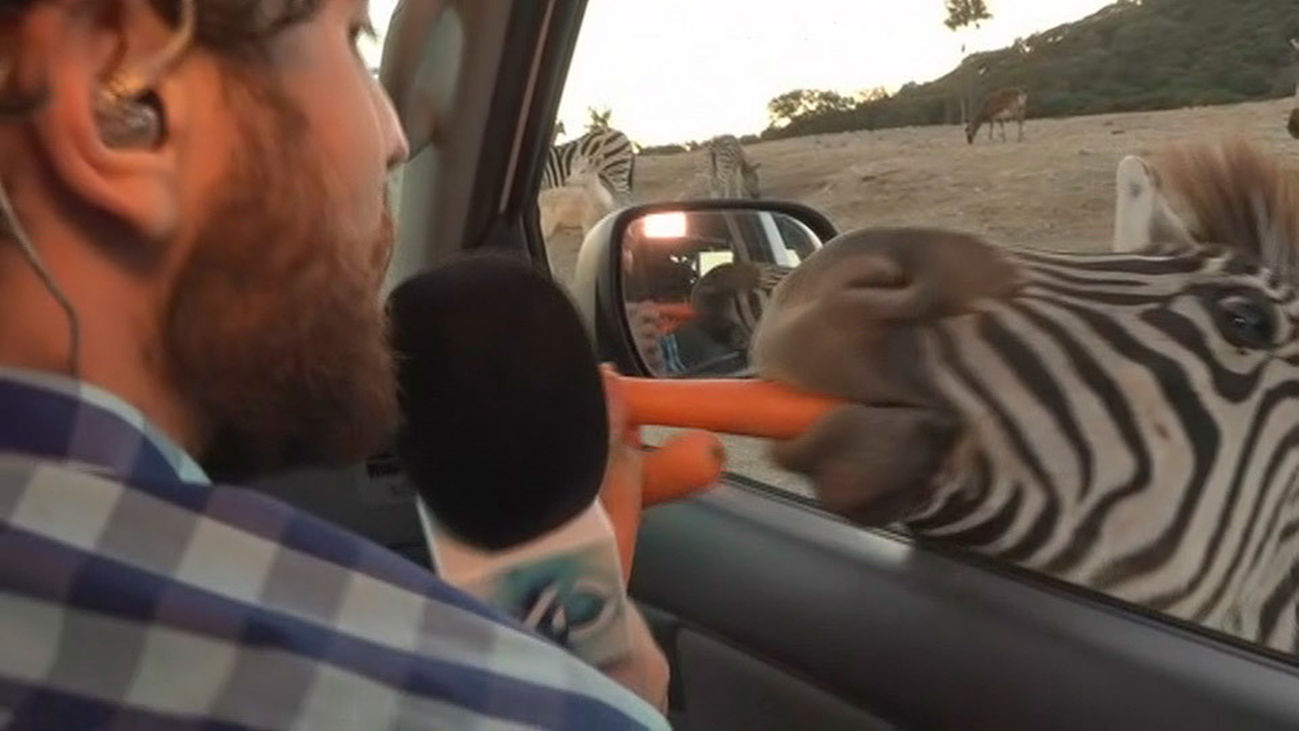 Planes: Un paseo por el Safari Park