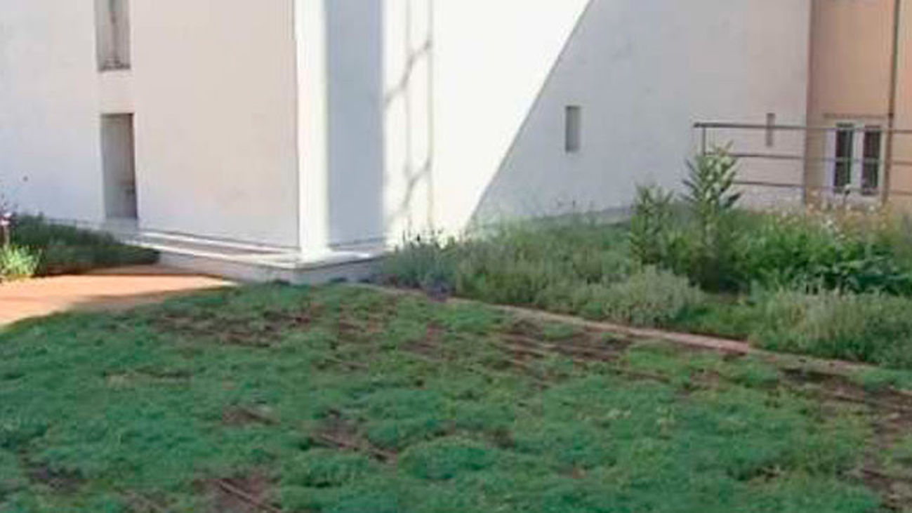 Jardines en los tejados de Chamberí