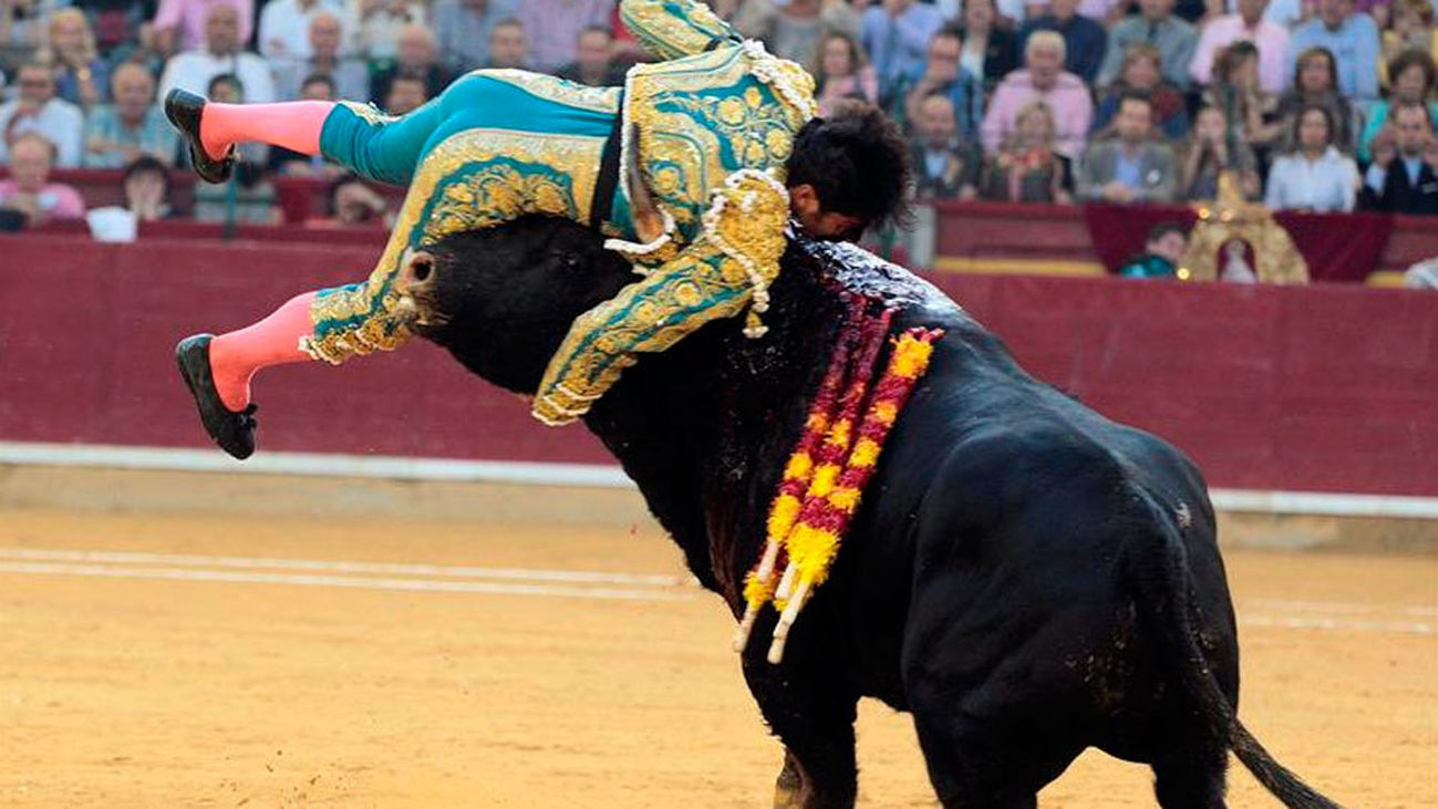 Cayetano Rivera sufre una cornada grave en Zaragoza