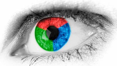 ¿Cuidamos bien de nuestros ojos?