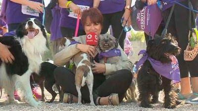 Más de 4.000 personas participan en la carrera Perrotón que aboga por la adopción responsable