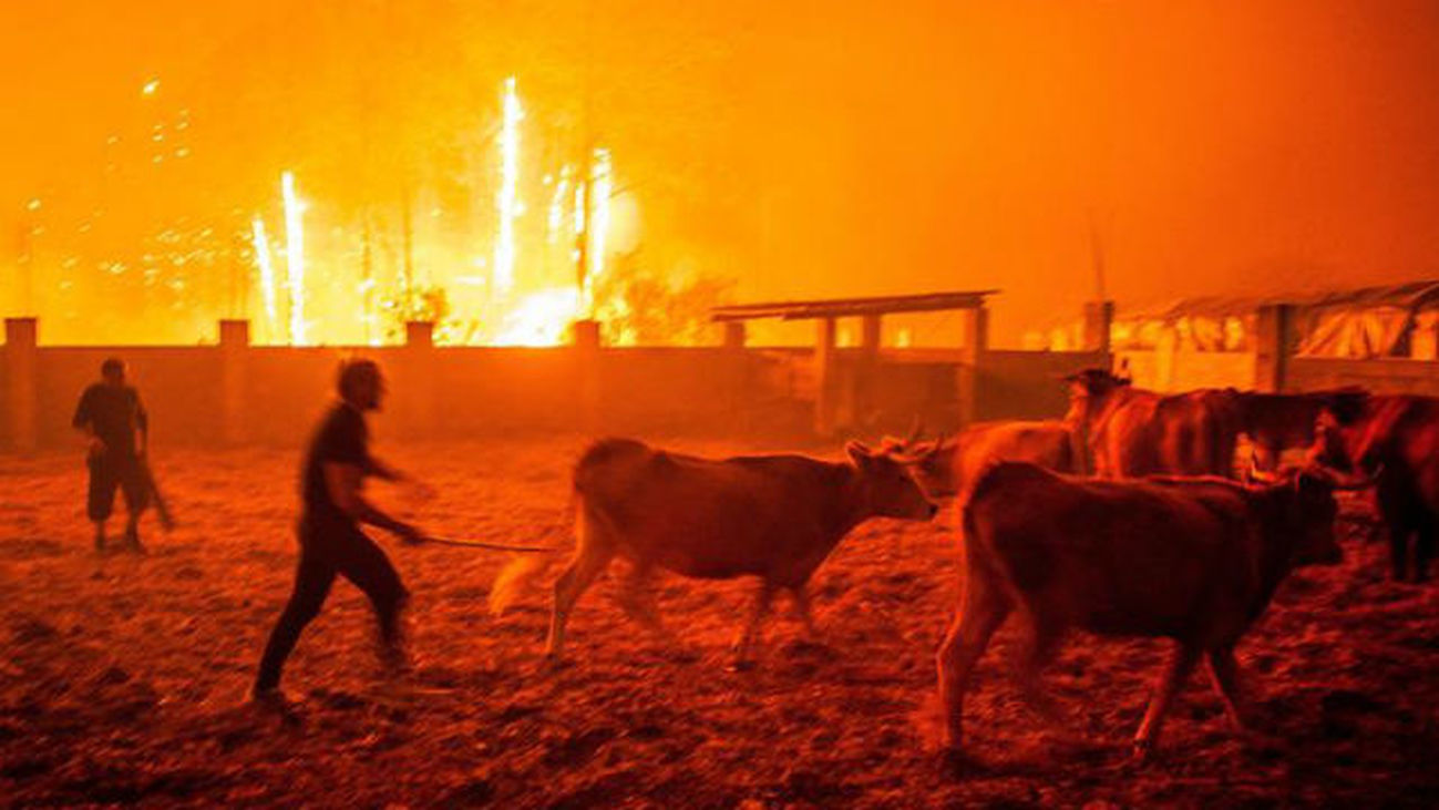 Suben a 31 los muertos en fuegos en Portugal, que combaten 4.500 bomberos