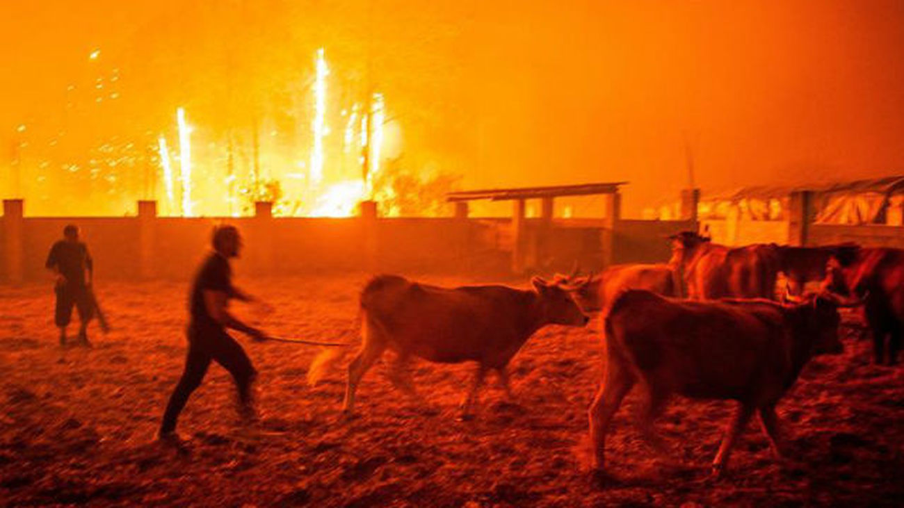 Incendio en Portugal