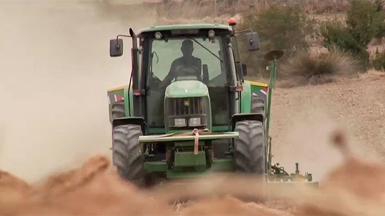 El campo madrileño se muere de sed