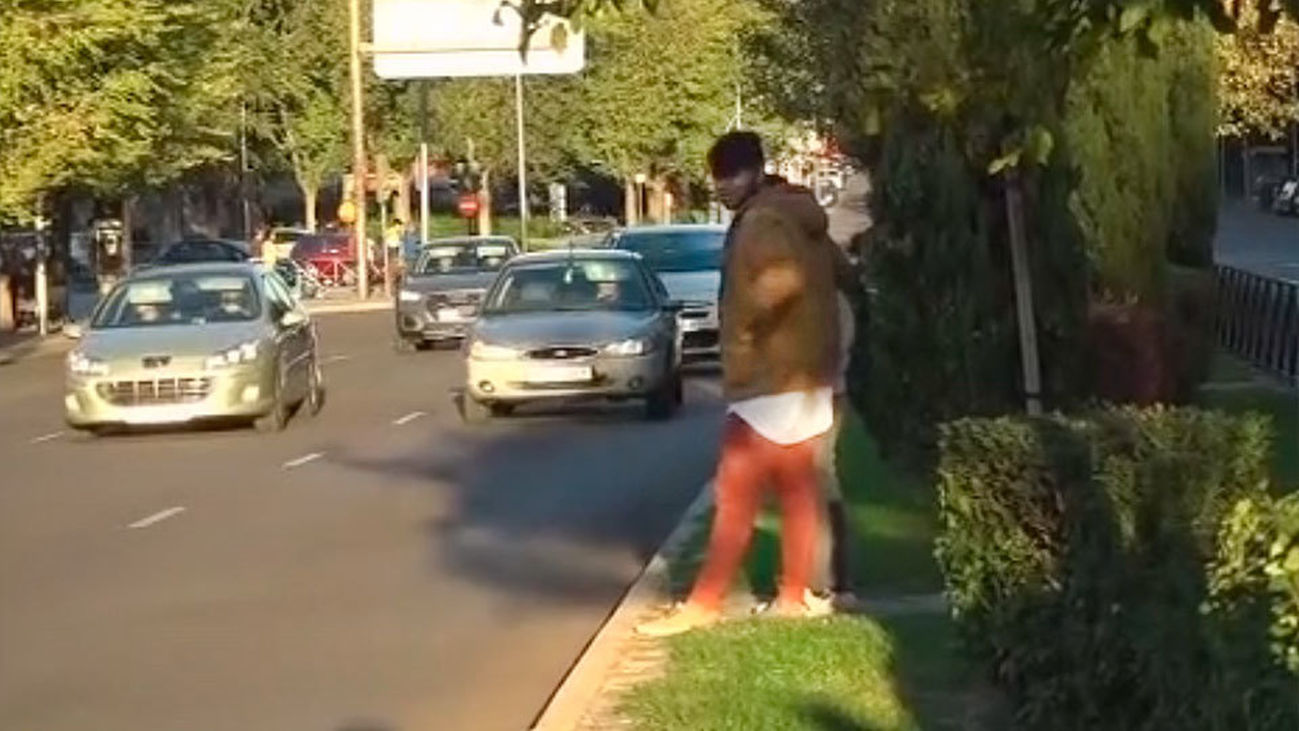 ¿Malos conductores o malos peatones?