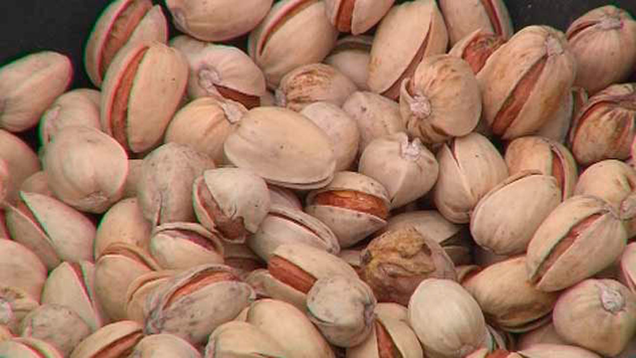 Pistachos, el oro verde