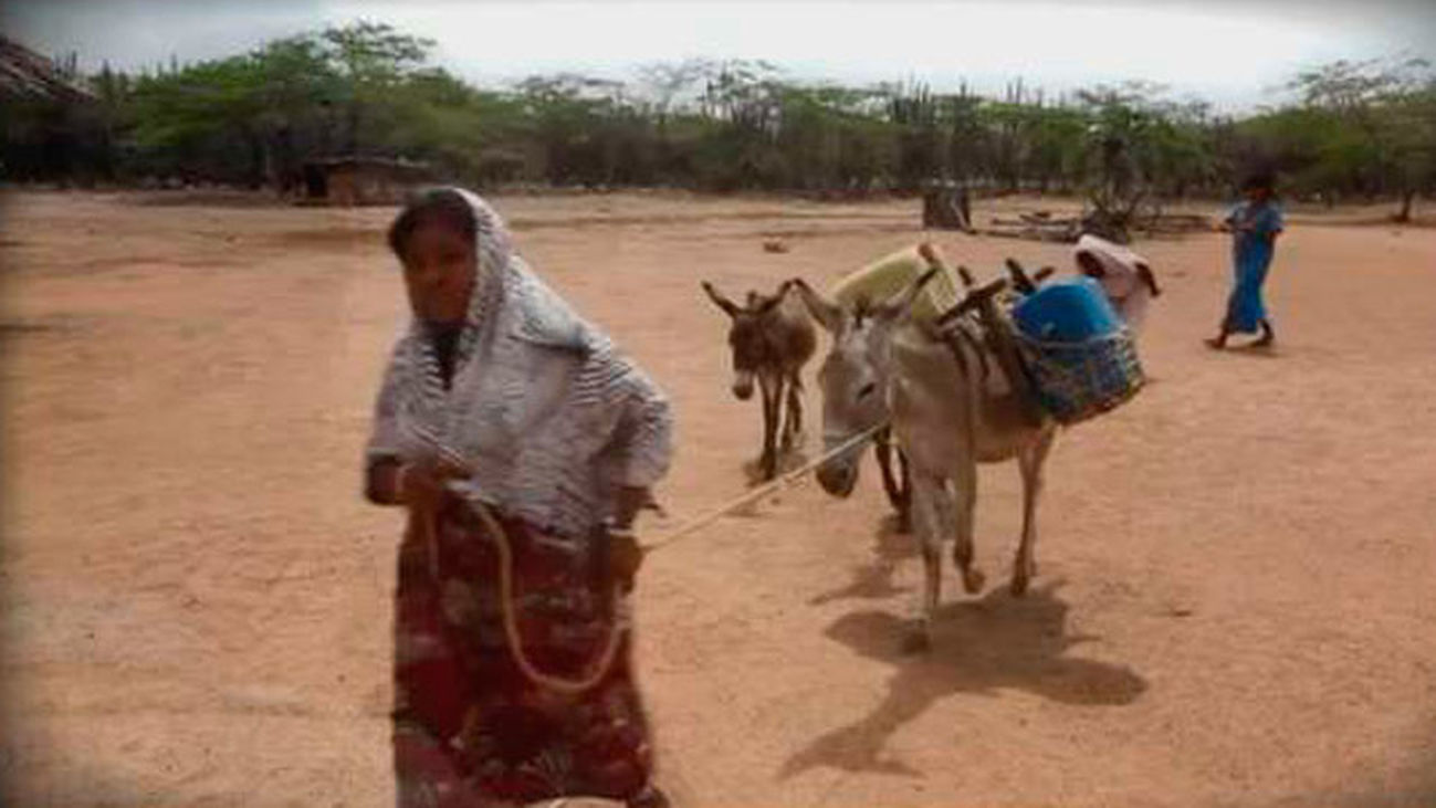 Guajira Alta, el desierto del hambre