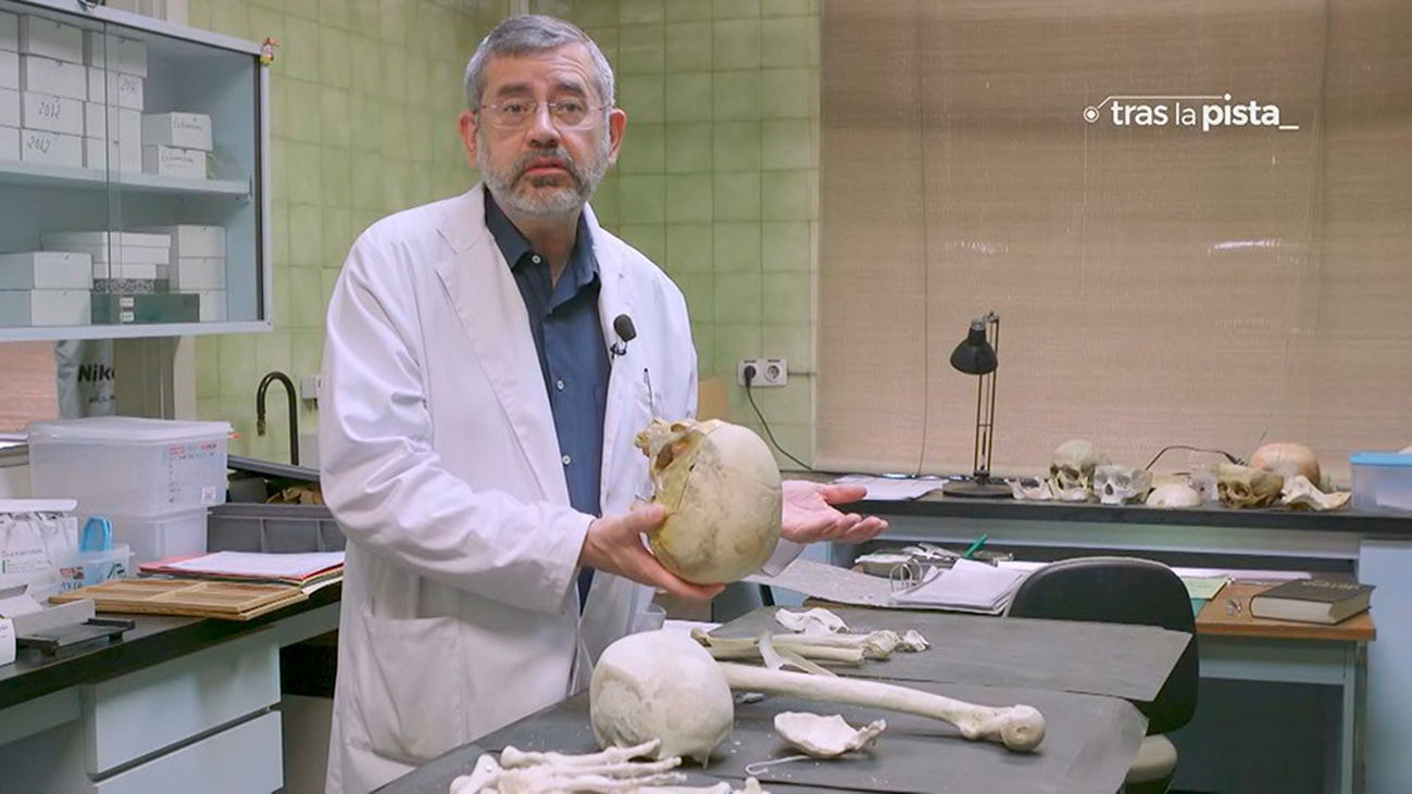 Un viaje al Instituto Anatómico Forense de Madrid