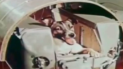 Se cumplen 60 años del lanzamiento al espacio del primer ser vivo